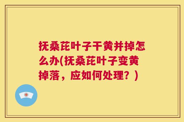 抚桑芘叶子干黄并掉怎么办(抚桑芘叶子变黄掉落,应如何处理?) 抚桑芘叶子干黄并掉怎么办(抚桑芘叶子变黄掉落,应如何处理?)