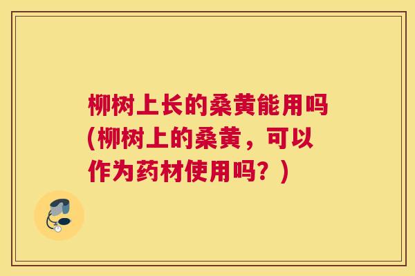 柳树上长的桑黄能用吗(柳树上的桑黄,可以作为药材使用吗?) 柳树上长的桑黄能用吗(柳树上的桑黄,可以作为药材使用吗?)