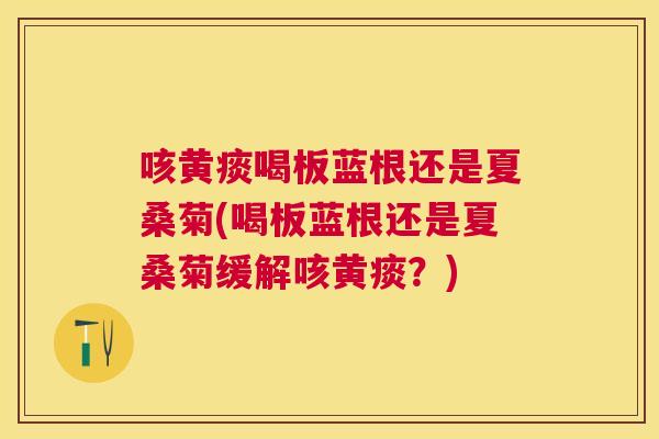 咳黄痰喝板蓝根还是夏桑菊(喝板蓝根还是夏桑菊缓解咳黄痰?) 咳黄痰喝板蓝根还是夏桑菊(喝板蓝根还是夏桑菊缓解咳黄痰?)