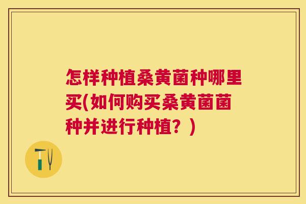 怎样种植桑黄菌种哪里买(如何购买桑黄菌菌种并进行种植?) 怎样种植桑黄菌种哪里买(如何购买桑黄菌菌种并进行种植?)