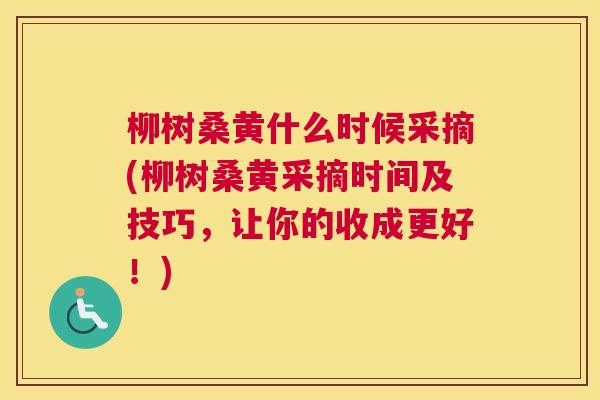 柳树桑黄什么时候采摘(柳树桑黄采摘时间及技巧,让你的收成更好!) 柳树桑黄什么时候采摘(柳树桑黄采摘时间及技巧,让你的收成更好!)