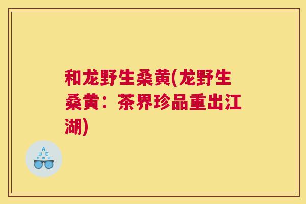 和龙野生桑黄(龙野生桑黄:茶界珍品重出江湖) 和龙野生桑黄(龙野生桑黄:茶界珍品重出江湖)