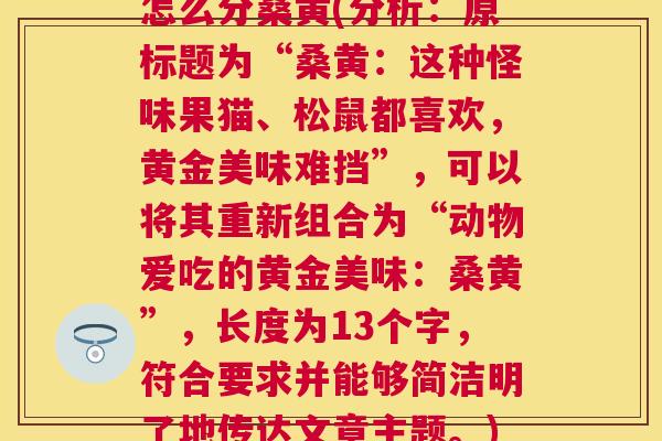怎么分桑黄(分析:原标题为“桑黄:这种怪味果猫、松鼠都喜欢,黄金美味难挡”,可以将其重新组合为“动物爱吃的黄金美味:桑黄”,长度为13个字,符合要求并能够简洁明了地传达文章主题。) 怎么分桑黄(分析:原标题为“桑黄:这种怪味果猫、松鼠都喜欢,黄金美味难挡”,可以将其重新组合为“动物爱吃的黄金美味:桑黄”,长度为13个字,符合要求并能够简洁明了地传达文章主题。)
