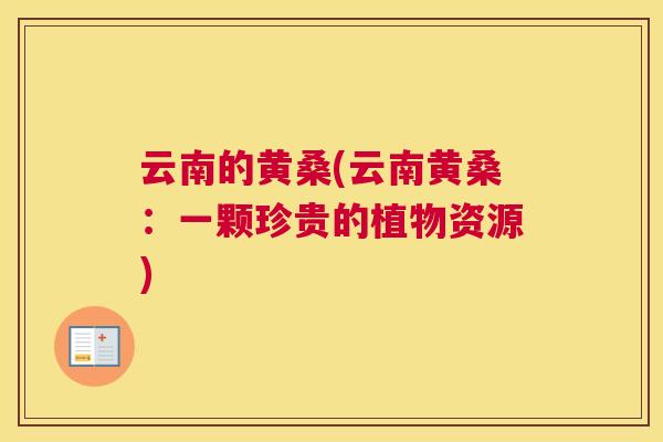 云南的黄桑(云南黄桑:一颗珍贵的植物资源) 云南的黄桑(云南黄桑:一颗珍贵的植物资源)