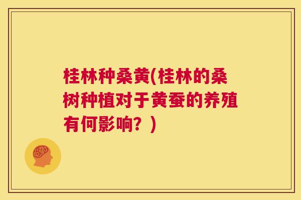 桂林种桑黄(桂林的桑树种植对于黄蚕的养殖有何影响?) 桂林种桑黄(桂林的桑树种植对于黄蚕的养殖有何影响?)