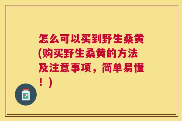 怎么可以买到野生桑黄(购买野生桑黄的方法及注意事项,简单易懂!) 怎么可以买到野生桑黄(购买野生桑黄的方法及注意事项,简单易懂!)
