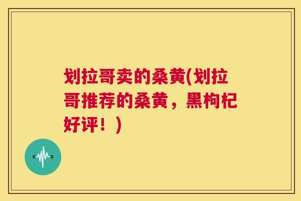 划拉哥卖的桑黄(划拉哥推荐的桑黄,黑枸杞好评!) 划拉哥卖的桑黄(划拉哥推荐的桑黄,黑枸杞好评!)