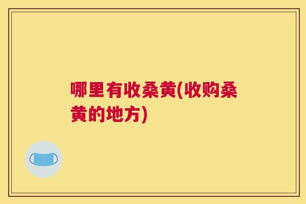 哪里有收桑黄(收购桑黄的地方) 哪里有收桑黄(收购桑黄的地方)