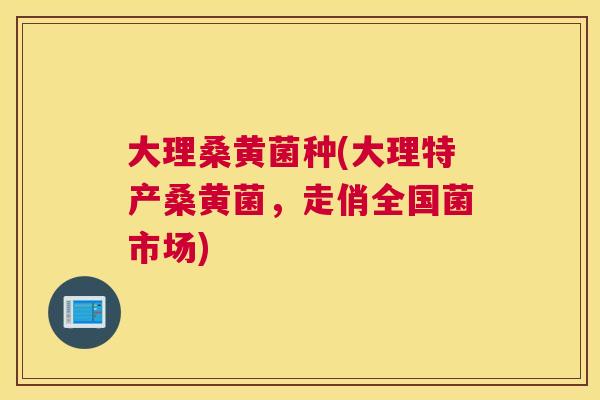 大理桑黄菌种(大理特产桑黄菌,走俏全国菌市场) 大理桑黄菌种(大理特产桑黄菌,走俏全国菌市场)