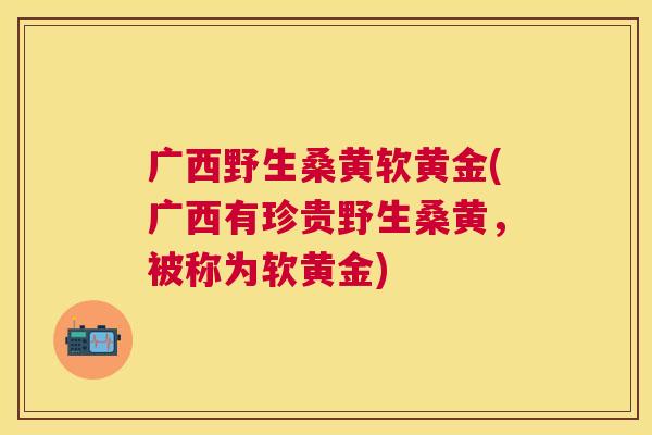 广西野生桑黄软黄金(广西有珍贵野生桑黄,被称为软黄金) 广西野生桑黄软黄金(广西有珍贵野生桑黄,被称为软黄金)