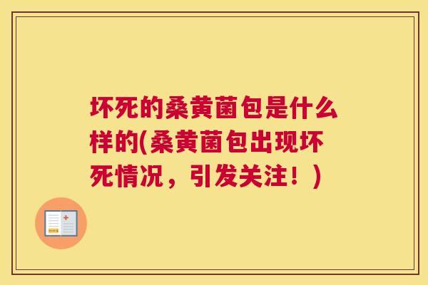 坏死的桑黄菌包是什么样的(桑黄菌包出现坏死情况,引发关注!) 坏死的桑黄菌包是什么样的(桑黄菌包出现坏死情况,引发关注!)