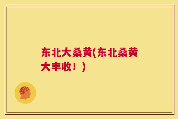 东北大桑黄(东北桑黄大丰收!) 东北大桑黄(东北桑黄大丰收!)