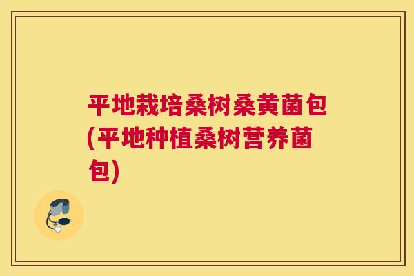平地栽培桑树桑黄菌包(平地种植桑树营养菌包) 平地栽培桑树桑黄菌包(平地种植桑树营养菌包)