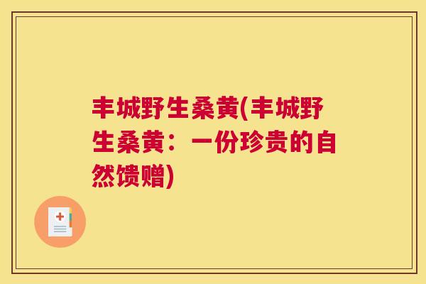 丰城野生桑黄(丰城野生桑黄：一份珍贵的自然馈赠)