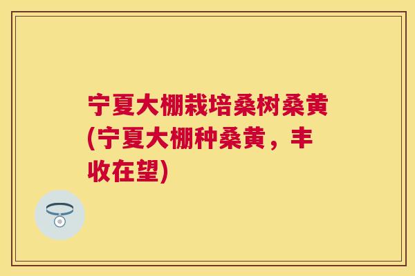 宁夏大棚栽培桑树桑黄(宁夏大棚种桑黄,丰收在望) 宁夏大棚栽培桑树桑黄(宁夏大棚种桑黄,丰收在望)