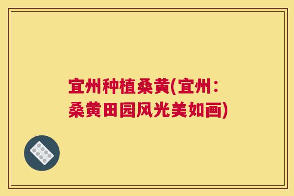 宜州种植桑黄(宜州：桑黄田园风光美如画)