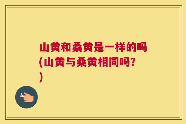 山黄和桑黄是一样的吗(山黄与桑黄相同吗？)