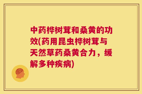 桦树茸和桑黄的功效(药用昆虫桦树茸与天然草药桑黄合力,缓解多种) 桦树茸和桑黄的功效(药用昆虫桦树茸与天然草药桑黄合力,缓解多种)