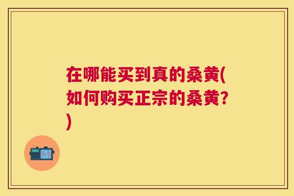 在哪能买到真的桑黄(如何购买正宗的桑黄?) 在哪能买到真的桑黄(如何购买正宗的桑黄?)