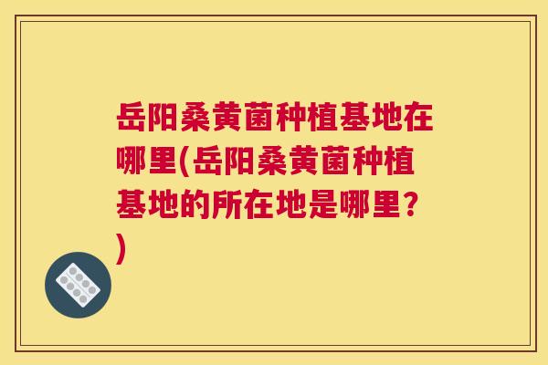 岳阳桑黄菌种植基地在哪里(岳阳桑黄菌种植基地的所在地是哪里？)