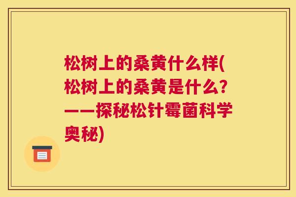 松树上的桑黄什么样(松树上的桑黄是什么?——探秘松针霉菌科学奥秘) 松树上的桑黄什么样(松树上的桑黄是什么?——探秘松针霉菌科学奥秘)