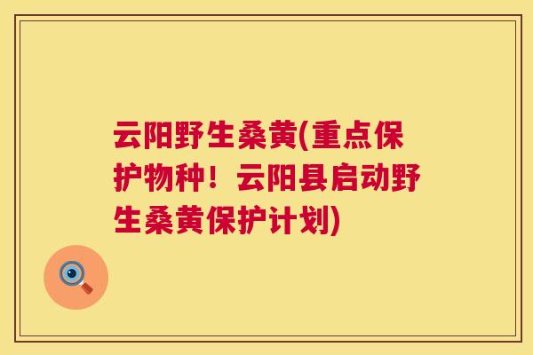 云阳野生桑黄(重点保护物种!云阳县启动野生桑黄保护计划) 云阳野生桑黄(重点保护物种!云阳县启动野生桑黄保护计划)