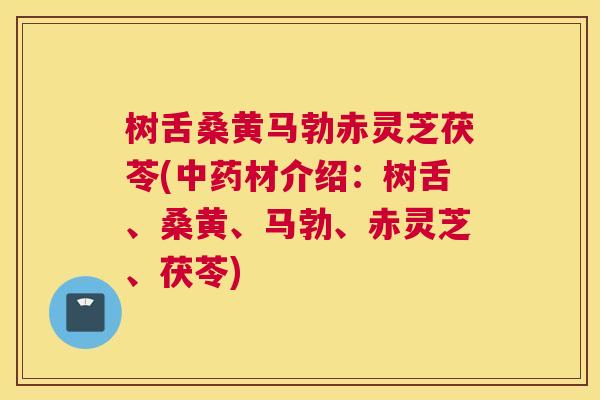 树舌桑黄马勃赤灵芝茯苓(材介绍:树舌、桑黄、马勃、赤灵芝、茯苓) 树舌桑黄马勃赤灵芝茯苓(材介绍:树舌、桑黄、马勃、赤灵芝、茯苓)
