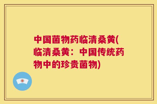 中国菌物药临清桑黄(临清桑黄:中国传统中的珍贵菌物) 中国菌物药临清桑黄(临清桑黄:中国传统中的珍贵菌物)