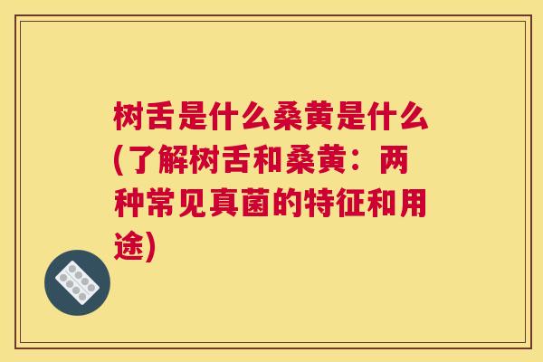 树舌是什么桑黄是什么(了解树舌和桑黄:两种常见真菌的特征和用途) 树舌是什么桑黄是什么(了解树舌和桑黄:两种常见真菌的特征和用途)