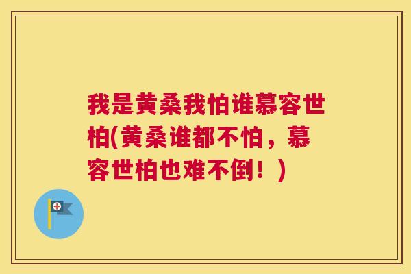 我是黄桑我怕谁慕容世柏(黄桑谁都不怕，慕容世柏也难不倒！)