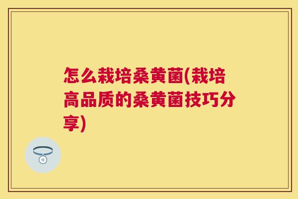怎么栽培桑黄菌(栽培高品质的桑黄菌技巧分享)