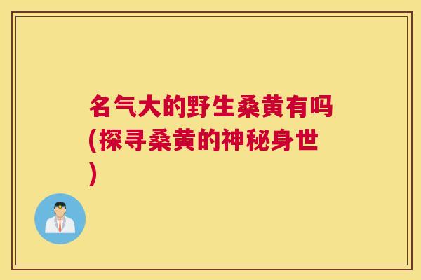 名气大的野生桑黄有吗(探寻桑黄的神秘身世) 名气大的野生桑黄有吗(探寻桑黄的神秘身世)