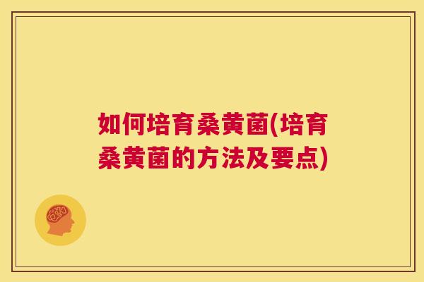 如何培育桑黄菌(培育桑黄菌的方法及要点)
