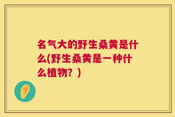 名气大的野生桑黄是什么(野生桑黄是一种什么植物?) 名气大的野生桑黄是什么(野生桑黄是一种什么植物?)