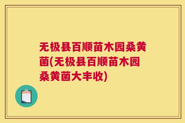无极县百顺苗木园桑黄菌(无极县百顺苗木园桑黄菌大丰收) 无极县百顺苗木园桑黄菌(无极县百顺苗木园桑黄菌大丰收)