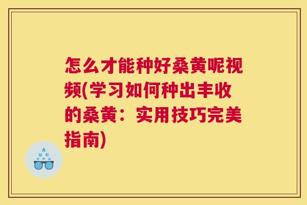 怎么才能种好桑黄呢视频(学习如何种出丰收的桑黄:实用技巧完美指南) 怎么才能种好桑黄呢视频(学习如何种出丰收的桑黄:实用技巧完美指南)