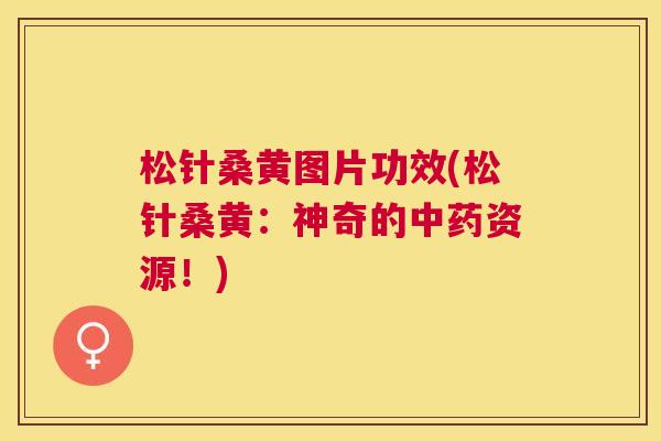 松针桑黄图片功效(松针桑黄:神奇的资源!) 松针桑黄图片功效(松针桑黄:神奇的资源!)