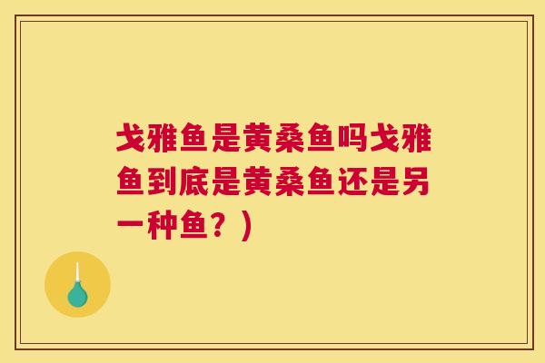 戈雅鱼是黄桑鱼吗戈雅鱼到底是黄桑鱼还是另一种鱼?) 戈雅鱼是黄桑鱼吗戈雅鱼到底是黄桑鱼还是另一种鱼?)