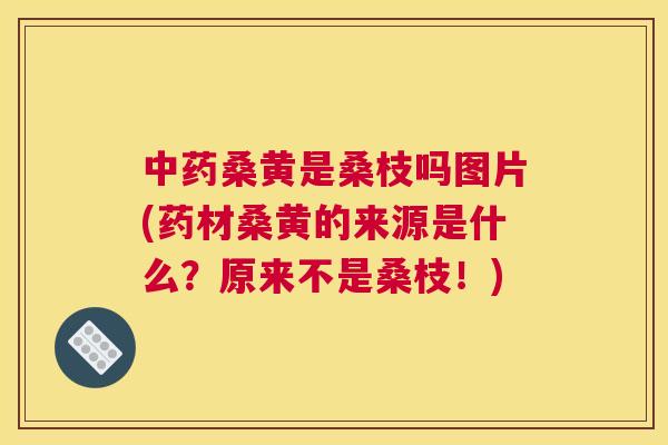 桑黄是桑枝吗图片(药材桑黄的来源是什么?原来不是桑枝!) 桑黄是桑枝吗图片(药材桑黄的来源是什么?原来不是桑枝!)