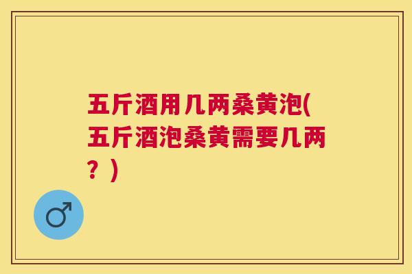 五斤酒用几两桑黄泡(五斤酒泡桑黄需要几两?) 五斤酒用几两桑黄泡(五斤酒泡桑黄需要几两?)