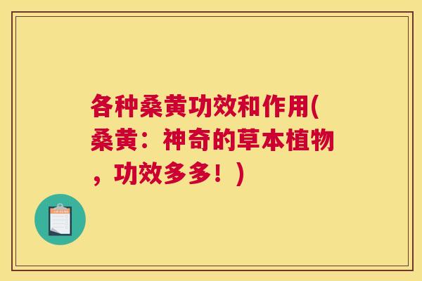 各种桑黄功效和作用(桑黄:神奇的草本植物,功效多多!) 各种桑黄功效和作用(桑黄:神奇的草本植物,功效多多!)