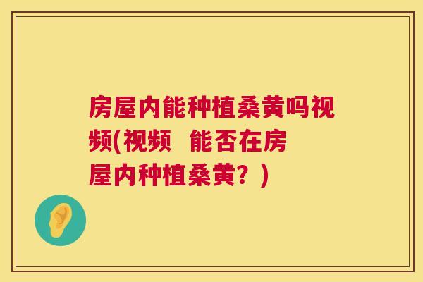 房屋内能种植桑黄吗视频(视频 能否在房屋内种植桑黄?) 房屋内能种植桑黄吗视频(视频 能否在房屋内种植桑黄?)