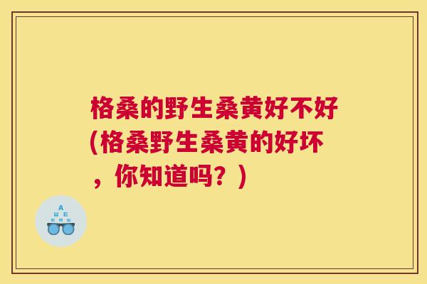 格桑的野生桑黄好不好(格桑野生桑黄的好坏,你知道吗?) 格桑的野生桑黄好不好(格桑野生桑黄的好坏,你知道吗?)