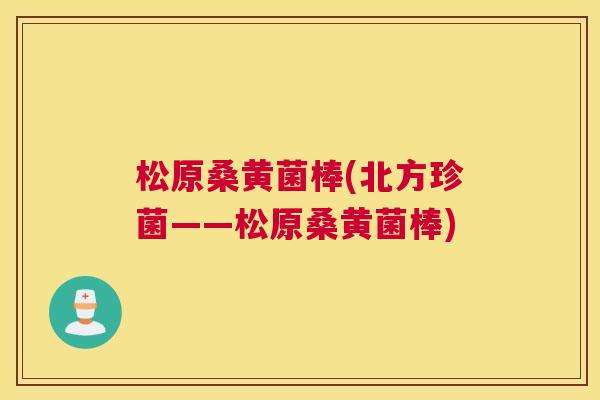 松原桑黄菌棒(北方珍菌——松原桑黄菌棒) 松原桑黄菌棒(北方珍菌——松原桑黄菌棒)