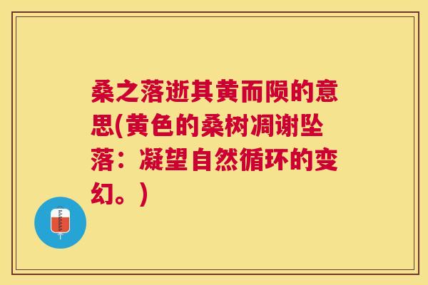 桑之落逝其黄而陨的意思(黄色的桑树凋谢坠落：凝望自然循环的变幻。)