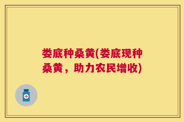娄底种桑黄(娄底现种桑黄,助力农民增收) 娄底种桑黄(娄底现种桑黄,助力农民增收)