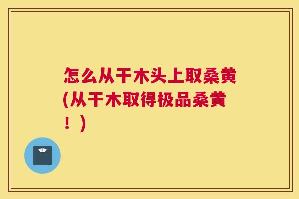 怎么从干木头上取桑黄(从干木取得极品桑黄!) 怎么从干木头上取桑黄(从干木取得极品桑黄!)