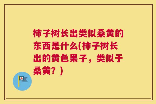 柿子树长出类似桑黄的东西是什么(柿子树长出的黄色果子,类似于桑黄?) 柿子树长出类似桑黄的东西是什么(柿子树长出的黄色果子,类似于桑黄?)