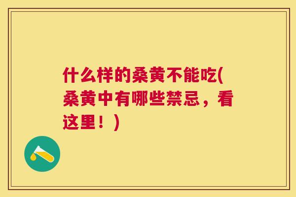 什么样的桑黄不能吃(桑黄中有哪些禁忌,看这里!) 什么样的桑黄不能吃(桑黄中有哪些禁忌,看这里!)