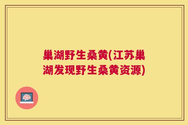 巢湖野生桑黄(江苏巢湖发现野生桑黄资源)